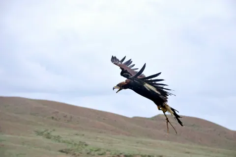Bokonbajewo — Karakol