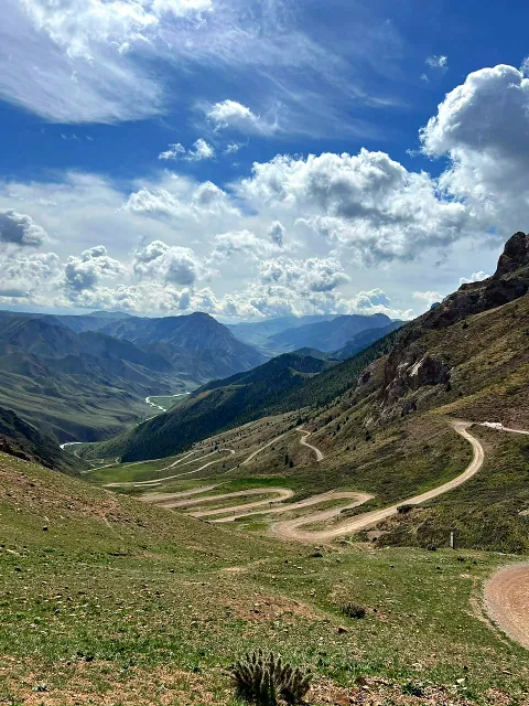 Serpentinen der Bergstraße „33 Papageien“