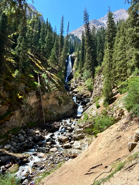 Waterfall in a spruce-lined mountain gorge
