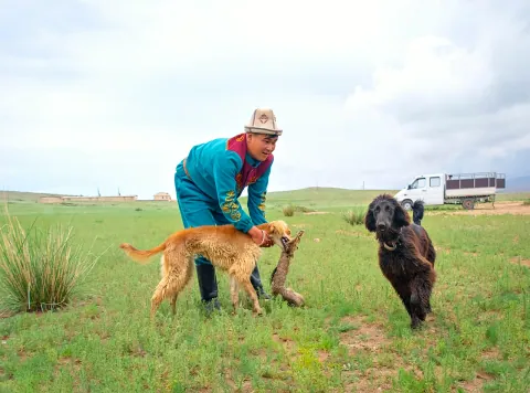Adlerjäger mit seinen Taigan-Jagdhunden